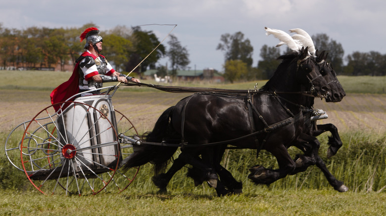 Friesian horses leading a chariot manned by a rider in Roman Empire style armor