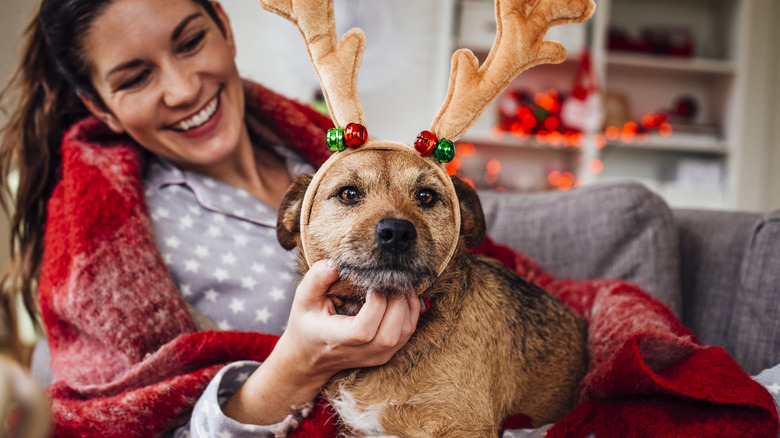 A woman resting on a sofa scratching her dog that has antlers on