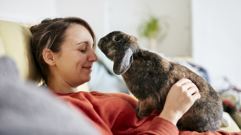 A person sits on a couch with a rabbit on their stomach and putting it's face to theirs.