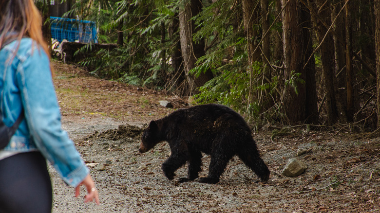 Woman sees bear in woods