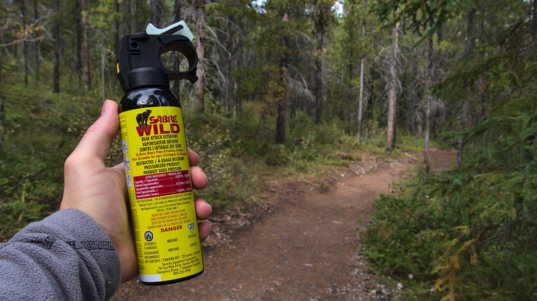 Person holding a can of bear spray