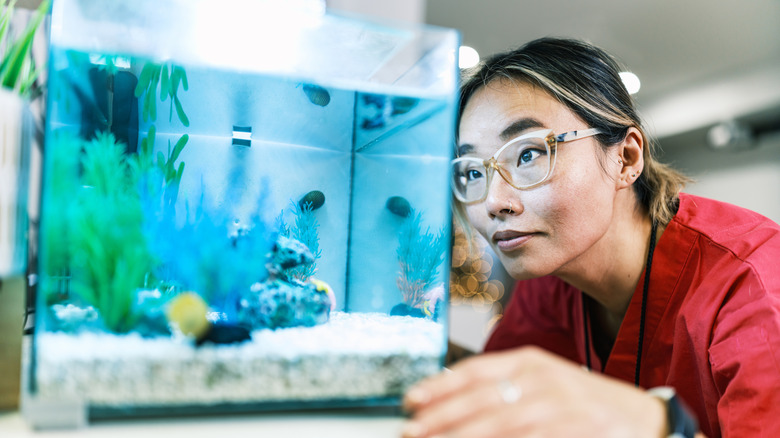 A nurse looking at fish in an aquarium