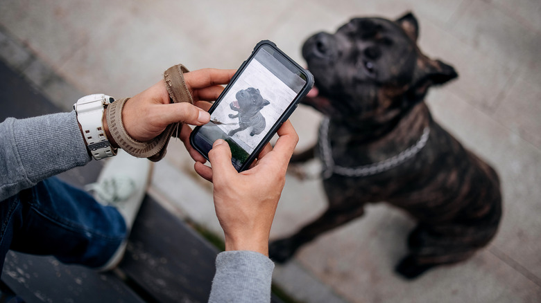 Person filming dog with cell phone