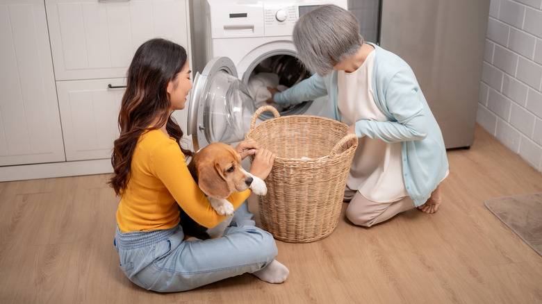 Woman holds beagle in lap while other woman removes laundry from dryer