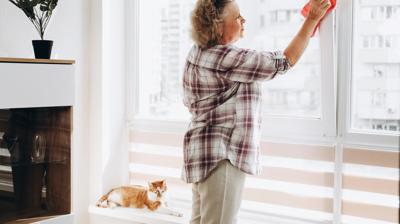 woman cleaning her windows with a cat next to her