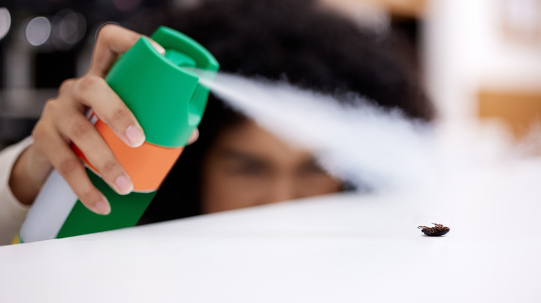 woman spraying a bug with insecticide