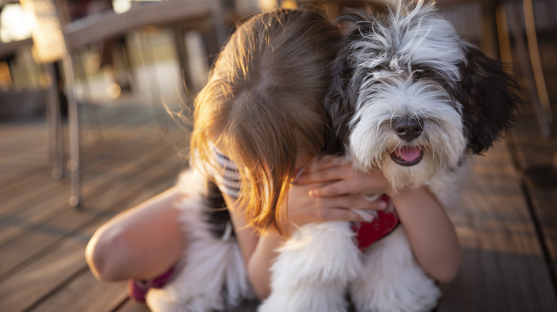 A person hugs a smiling Havanese from the back