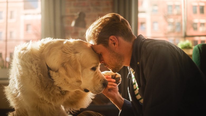 man is comforted by golden retriever