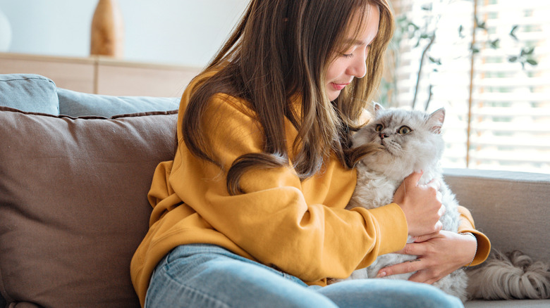 A woman on a sofa cuddles her Persian cat