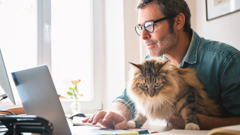 A man working at his computer holding his cat