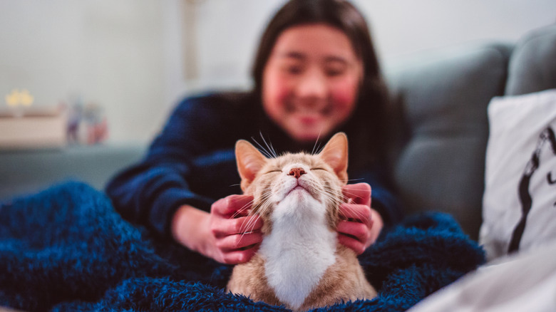 A woman sitting behind her cat scratches their chin