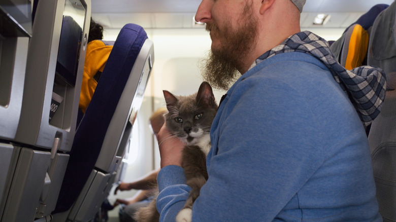 A man seated on a plane holding a cat