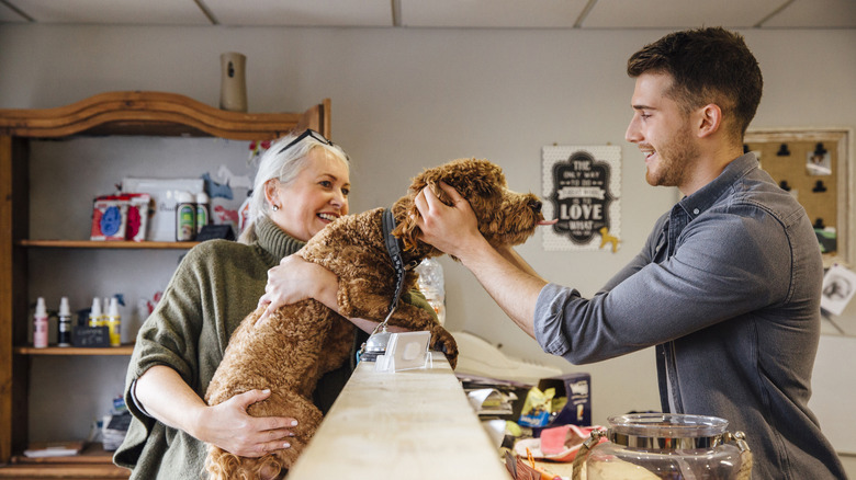 A woman holds her poodle in a pet reception area while a man behind the counter pets it