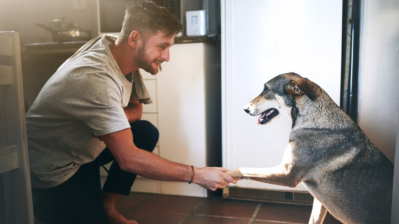 Man holding dog's paw