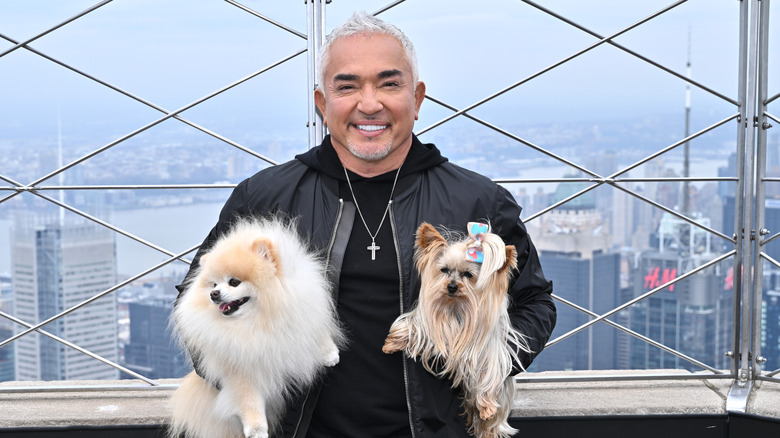 Cesar Millan poses with two dogs