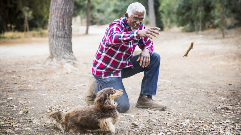 man playing fetch with dachshund