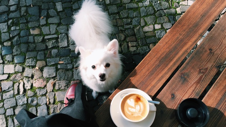 Coffee Cup On Wooden Table Outdoors