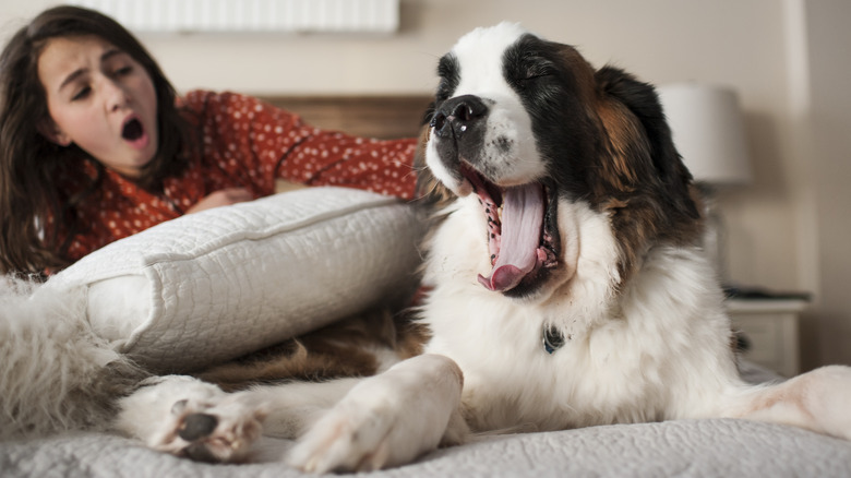 Woman and her dog both yawning