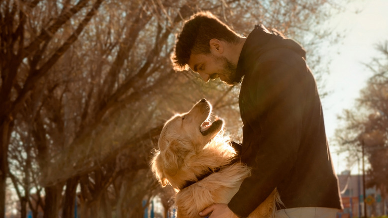 dog and man staring at each other