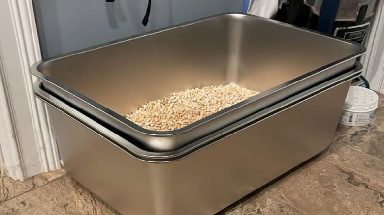 An example of a stainless steel litter box