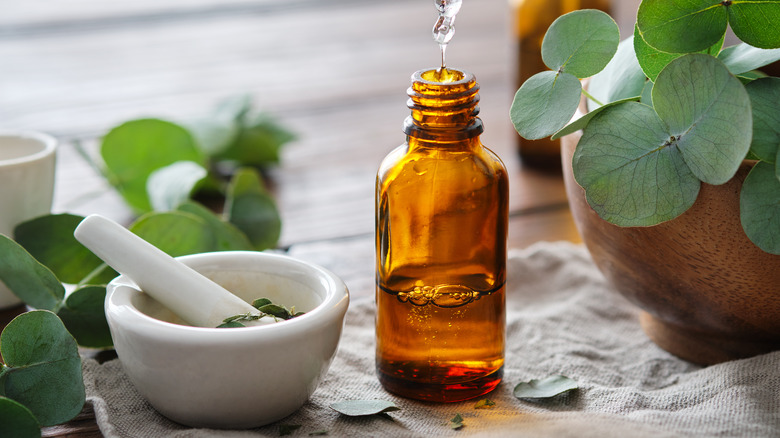 eucalyptus oil mortar and pestle