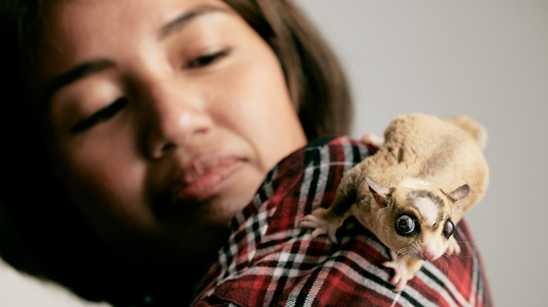 A sugar glider on a woman's shoulder