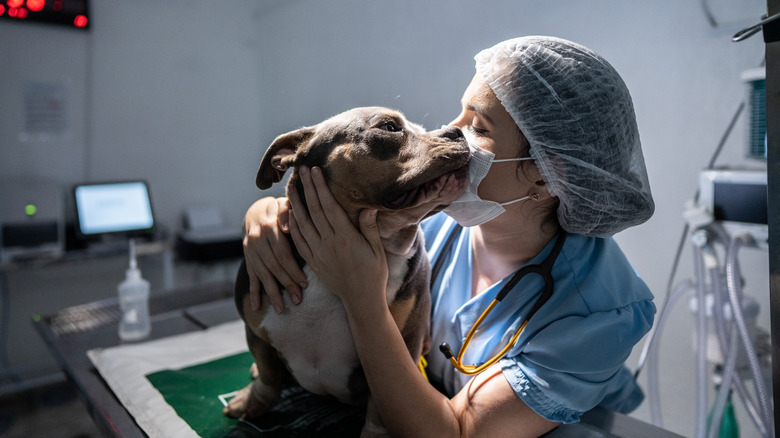 A vet hugs a dog who is on an operating table