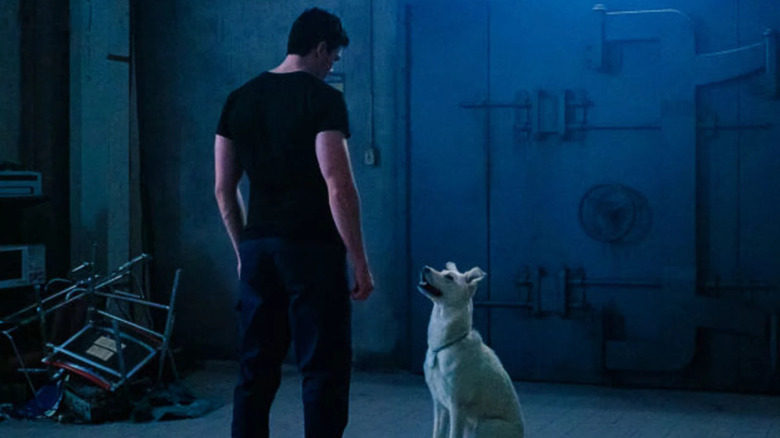 Krypto with Conner in Titans season 2 episode 6