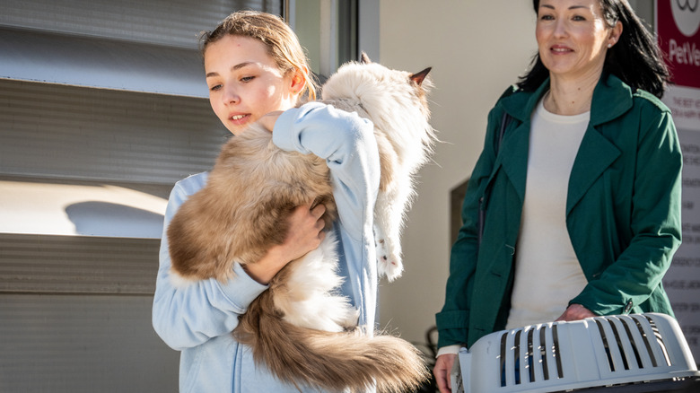 young girl holding Maine Coon