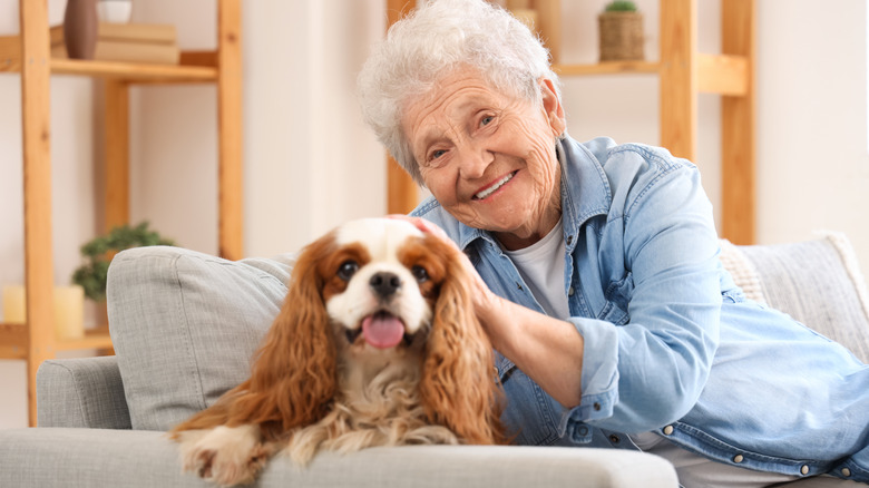 An older adult smiling petting her Cavalier King Charles Spaniel