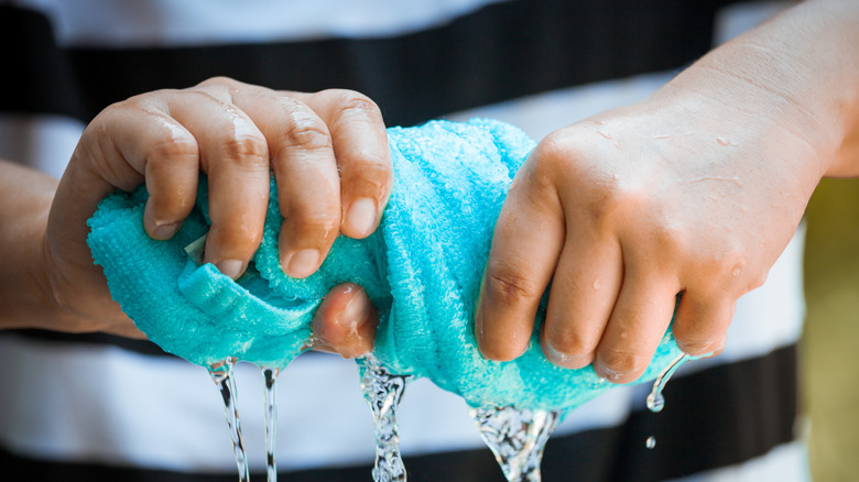 person squeezing water out of a cloth