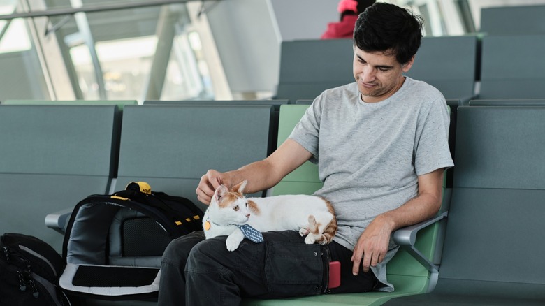 A man petting his orange-and-white cat in a nearly empty airport lounge