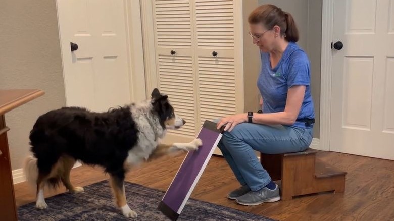 Dog scratching at homemade scratchboard