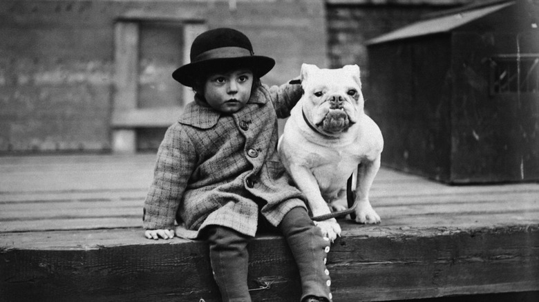 A small child sits with a bulldog in the early 1900s