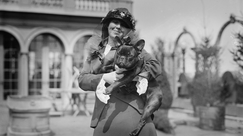 A fashionable early 1900s woman holds her French bulldog