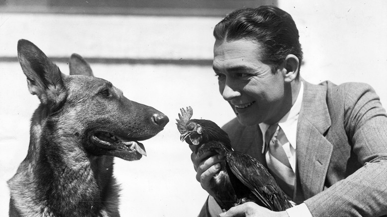 A German shepherd sits next to a man holding a chicken in a photo from the early 1900s