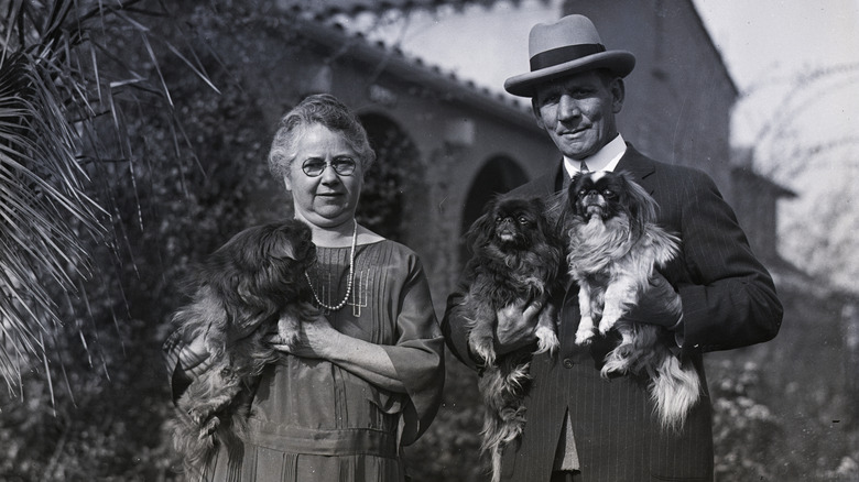 An early 1900s man and woman hold their three Pekingese dogs