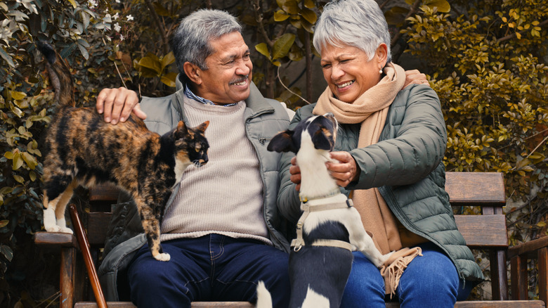 a mature man and woman are smiling and laughing on a park bench, with a cat and a dog in their laps respectively