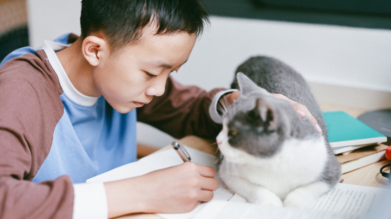 a young boy seems focused on his homework, even though a cat is sitting on the papers