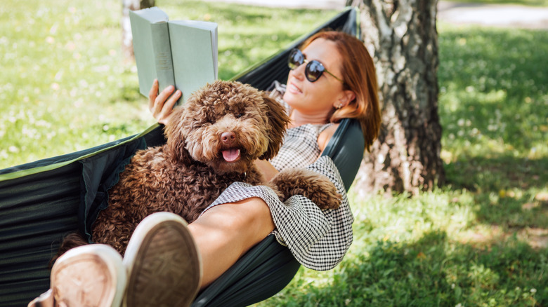 a woman reading a book relaxes in a hammock with her dog