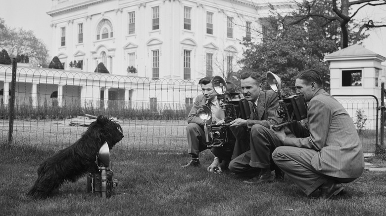 President Franklin D. Roosevelt's dog, Fala, is photographed by journalists in front of the White House