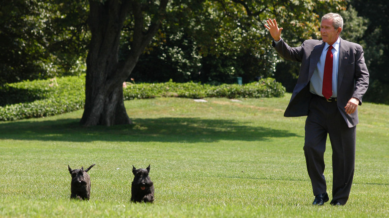 President George W. Bush walks with his dogs, Barney and Miss Beazley