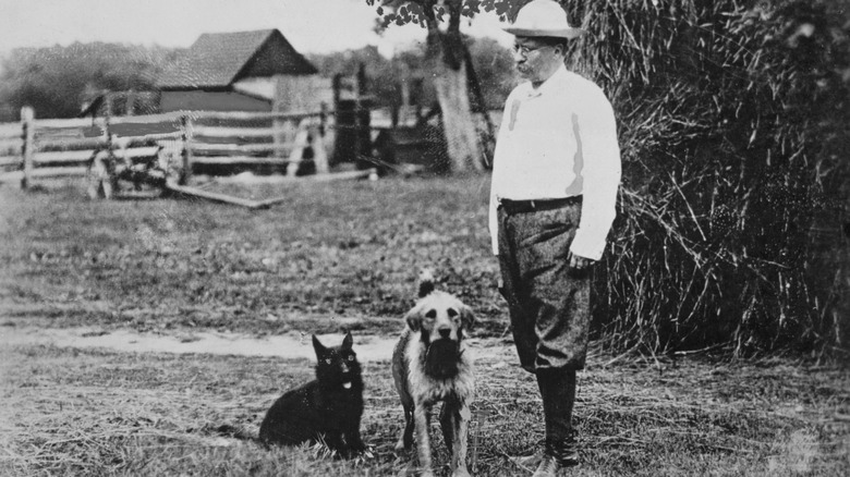 President Theodore Roosevelt stands with two dogs on his farm