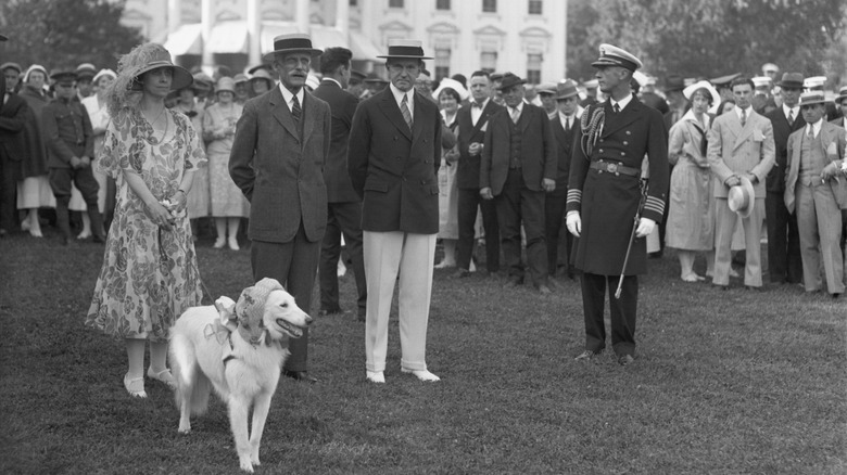 President Calvin Coolidge and First Lady Grace Coolidge stand with their dog, Rob Roy, on the White House lawn