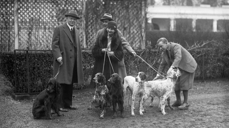 President Herbert Hoover poses with a group of hunting dogs in 1929