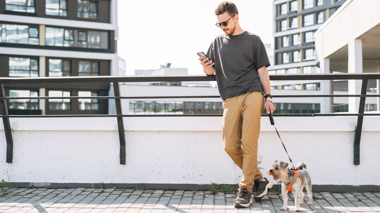 Young man standing in front of rail with phone in one hand and leash in other, dog at his feet