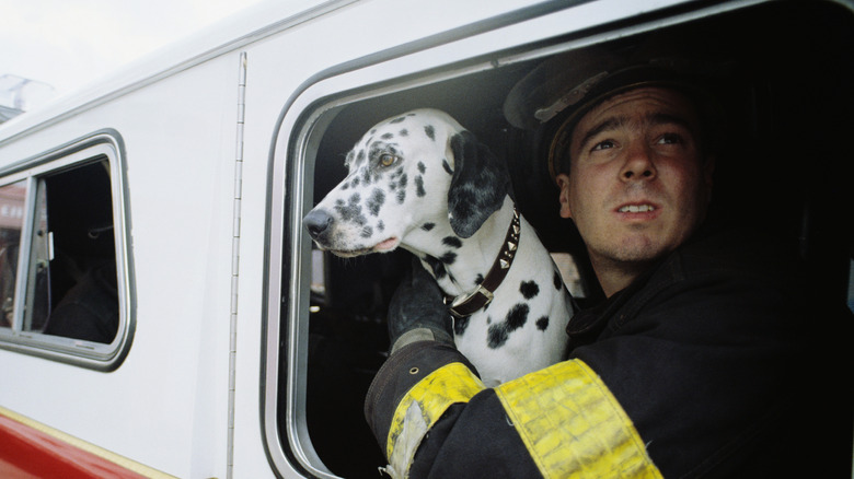 firefighter holds dalmation in fire truck