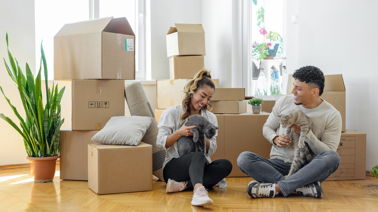 Two people sit on the floor holding cats with cardboard boxes and plants in the background