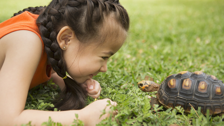 Little girl lying in grass facing a tortoise