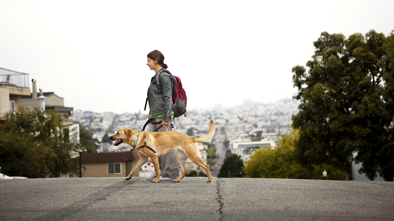 A woman walking her dog on a San Francisco street